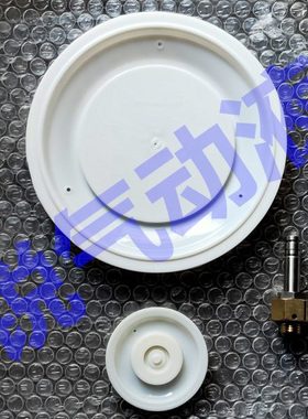 3.5寸 淹没式脉冲阀维修包 AE14102 /AE24102