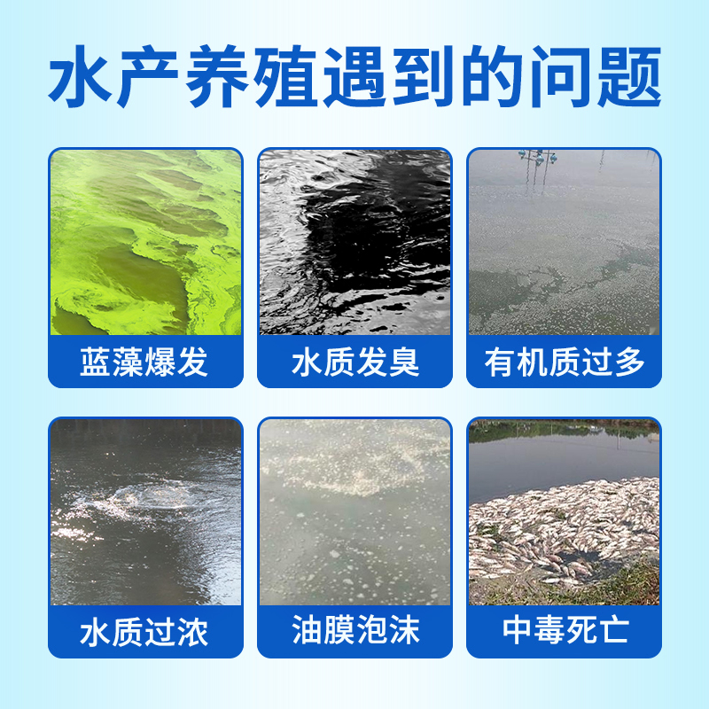 免发酵枯草芽孢杆菌水产养殖专用虾蟹鱼塘改底调水净水降氨氮亚盐