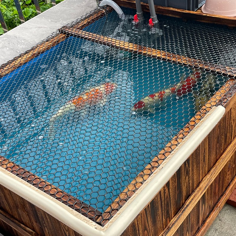 防腐实木帆布防水布鱼池锦鲤养殖专用地缸鱼缸箱户外阳台自建鱼池