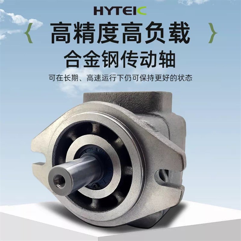 海特克内啮合齿轮泵油泵HG0-08/10/20/16HG1-25/40/50/63-01R-VPC