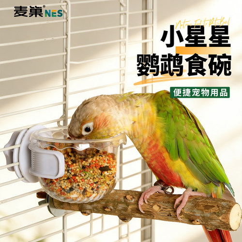 麦巢鹦鹉透明食杯坚固耐用防打翻