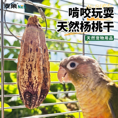 高能鹦鹉玩具杨桃干解闷磨牙