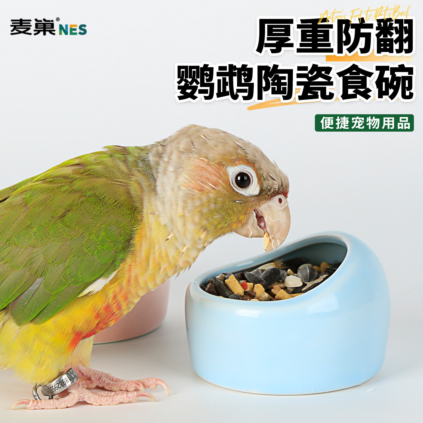 高能鹦鹉鸟专用防侧翻防溅陶瓷碗图片