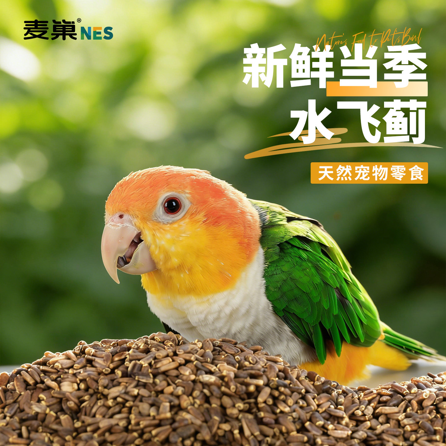 鸟粮虎皮鹦鹉饲料水飞蓟籽训练奖励零食牡丹小太阳玄凤专用奶蓟籽