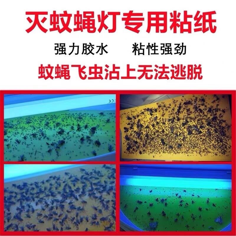 灭蝇纸灭蝇灯专用食品厂粘捕式灭图片