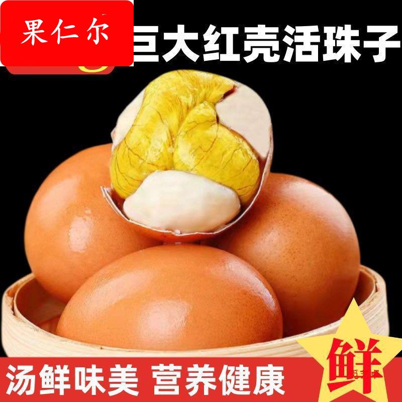 【红皮大个活珠子】香辣五香活珠子13天新鲜鸡胚蛋钢化喜蛋