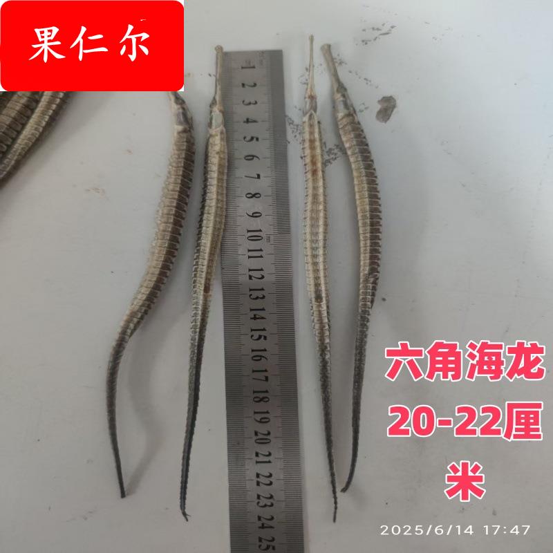 清水六角海龙海产品干货 海龙中药材煲汤泡酒滋补食源 直身无断