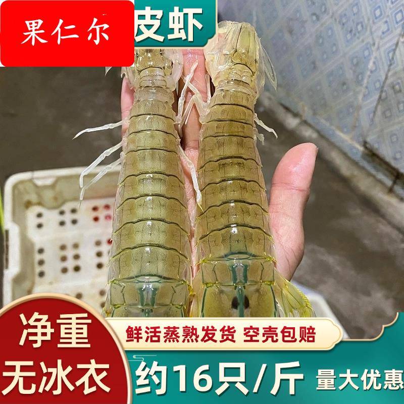 北海皮皮虾鲜活包邮海鲜水产海虾琵琶虾虾爬子新鲜濑尿虾蒸熟发货