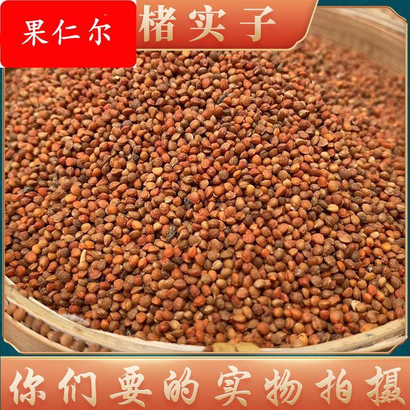 楮实子中药材 四川产地货源500g新货杂质少 量大价优楮实子