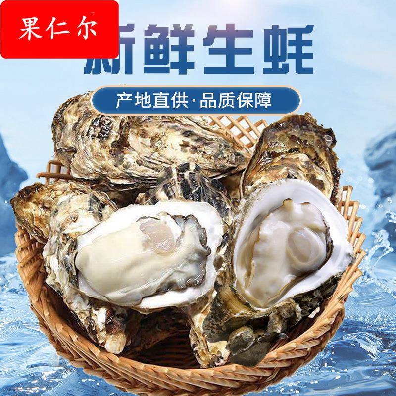 生蚝海鲜大个海蛎子带壳牡蛎肉新鲜水产非一整箱