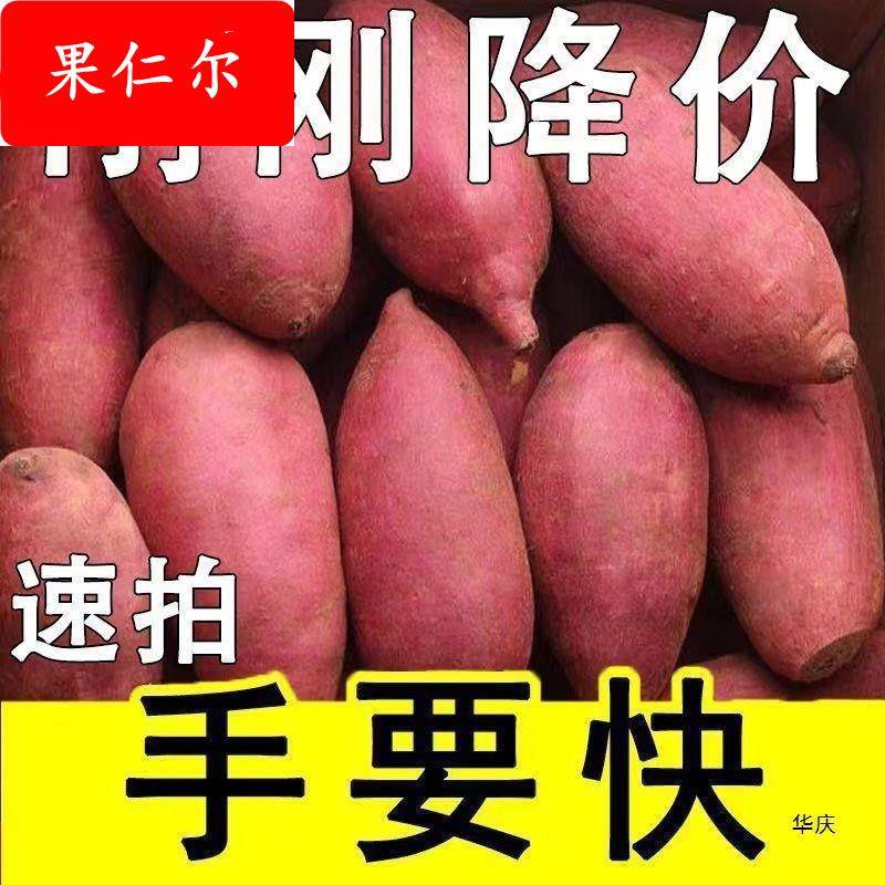 新鲜蜜薯9斤板栗红薯沙地糖心地瓜农家自种番薯烟薯山芋黄心红署