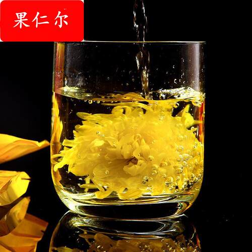 产地货源 金丝皇菊 一朵一杯菊花茶 大朵黄菊 新货 量大从优