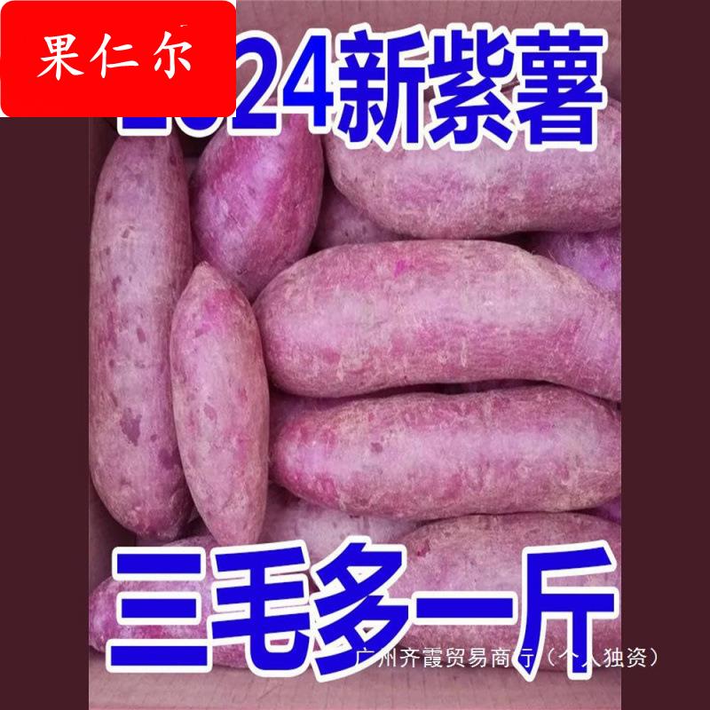 湖北现挖沙地紫薯番薯地瓜板栗红薯农家自种蜜薯山芋烟薯新鲜蔬菜