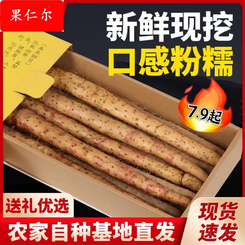 农产品小白嘴山药新鲜蔬菜河北土特产铁棍山药粉糯香甜淮山药
