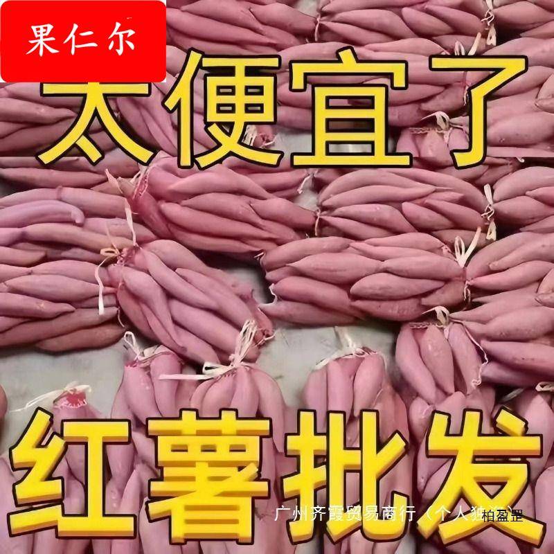 蜜薯新鲜红薯10斤农家香甜薯板栗黄红心烤地瓜糖心小番薯山芋1