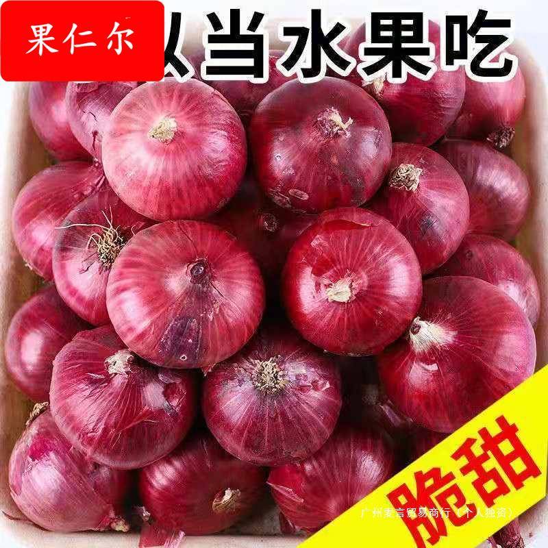 农家现挖水果洋葱5斤脆甜紫皮新鲜蔬菜圆葱头整箱包邮优普通洋葱