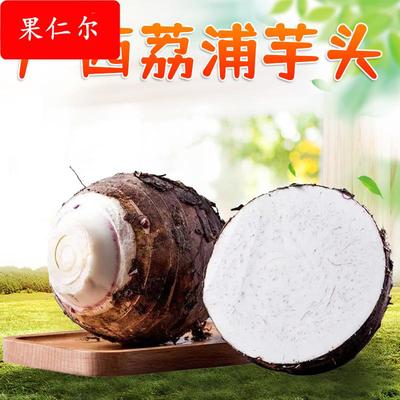 广西荔浦芋头 3/9斤新鲜现挖毛芋头奶油芋艿大香芋当季蔬菜