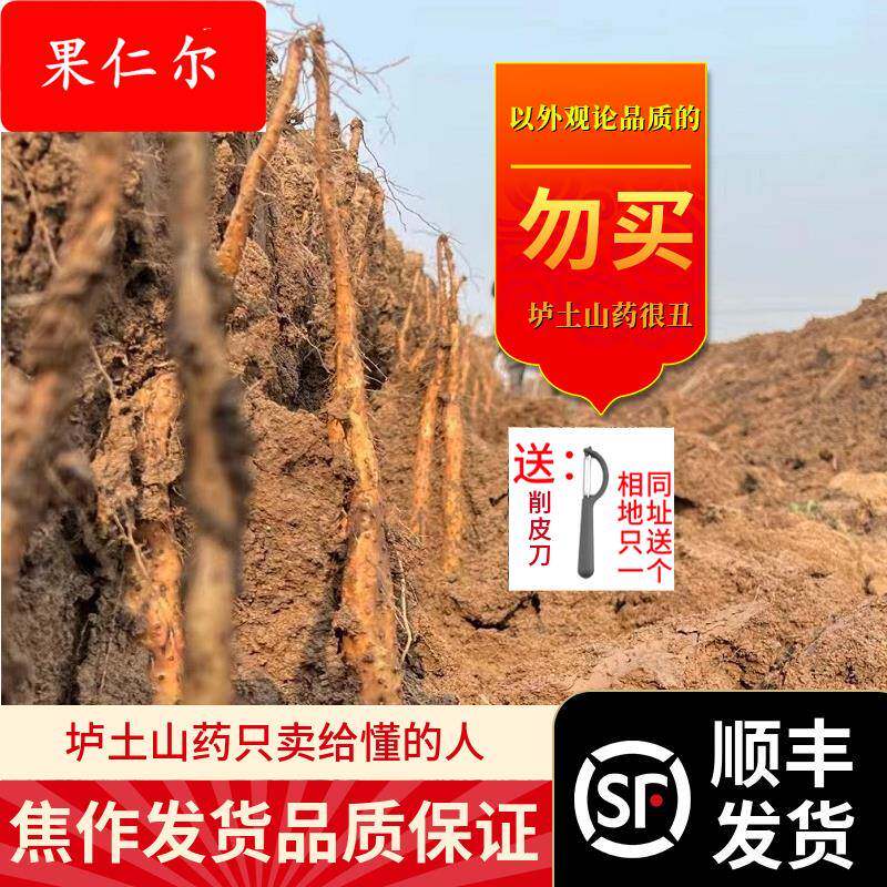 顺丰坏果包赔河南焦作垆土山药怀山药自种铁棍新鲜山药片特产