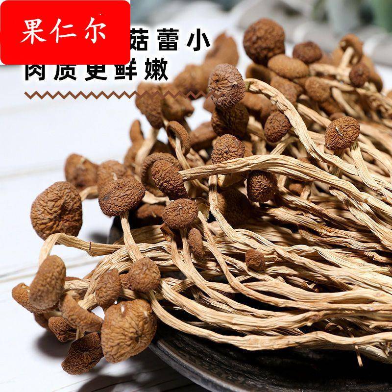古田不开茶树菇农家香菇特产干货新货煲汤虫草炖汤厂家直发