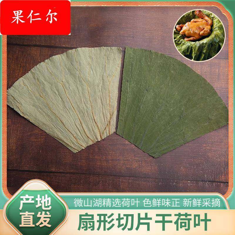 干荷叶包邮微山湖扇形切片荷叶糯米鸡包饭叫花鸡餐饮整张散装
