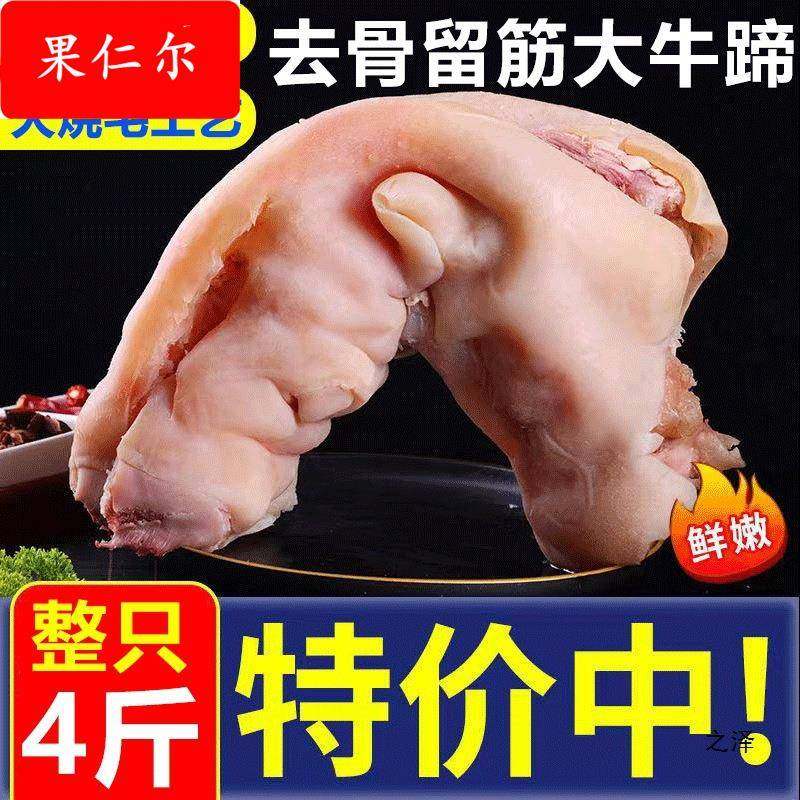 去骨牛蹄新鲜整只半熟脱骨牛蹄筋熟牛蹄脚原味主筋火锅食材卤菜