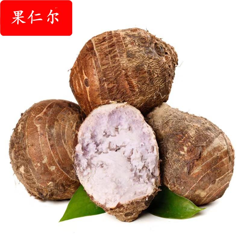 广西荔浦香芋头粉糯香甜现挖香芋新鲜蔬菜广西特产芋头