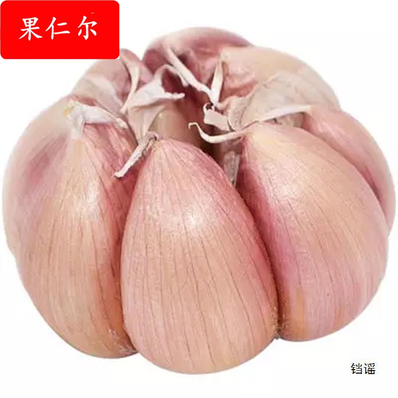干大蒜头10斤自种河南杞县大蒜2023新蒜头干蒜5斤紫皮白皮2斤3斤