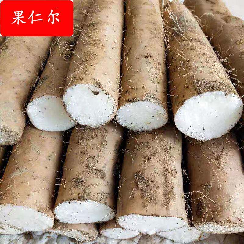 脆山药新鲜襄阳农家自种粗大山药菜山药淮山药现挖现发