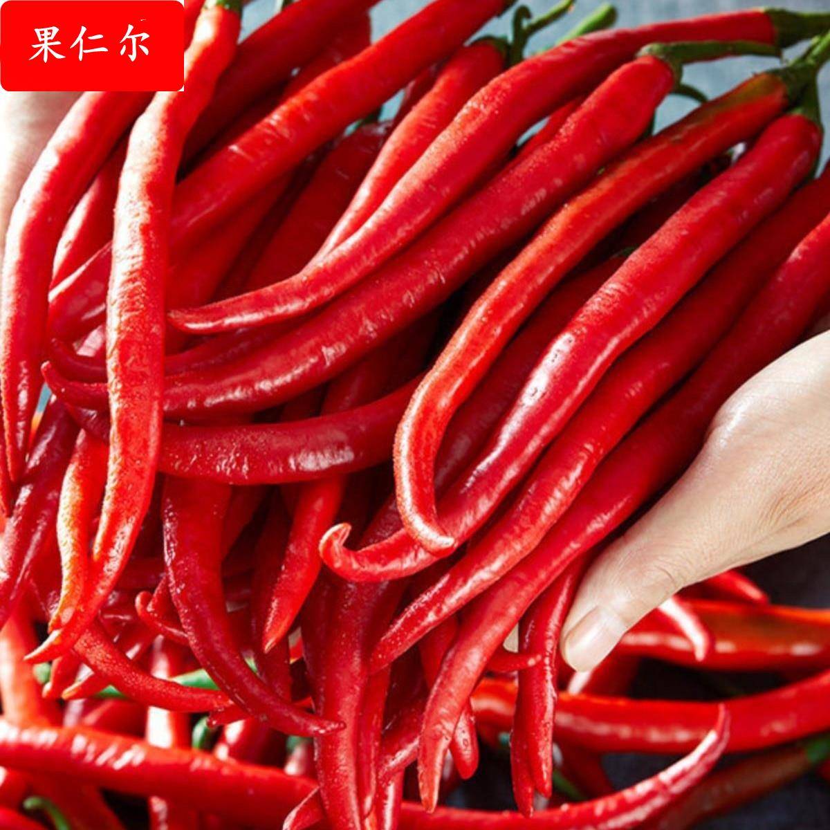 农家现摘红二荆条5斤新鲜辣椒鲜红辣椒红线椒海椒辣椒酱剁椒泡椒