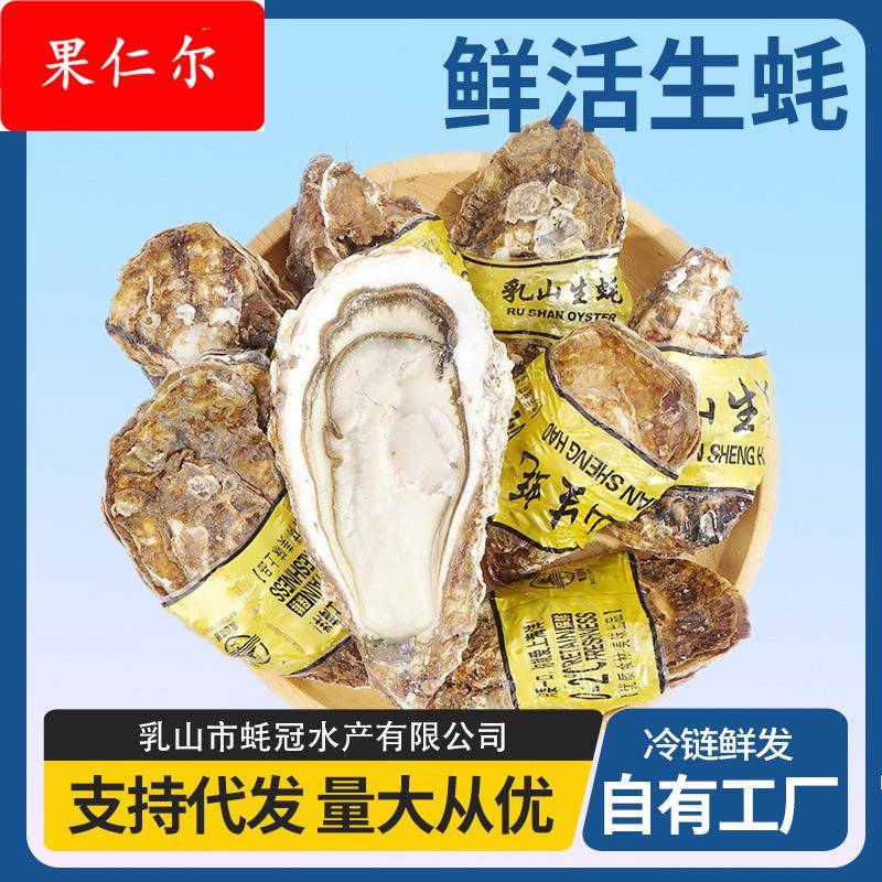 乳山生蚝5斤鲜活海鲜贝类乳山海蛎子生蚝牡蛎整箱批