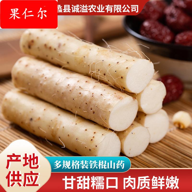 产地直供新鲜铁棍山药3斤5斤装食用怀山药当季热销现挖铁棍麻山药