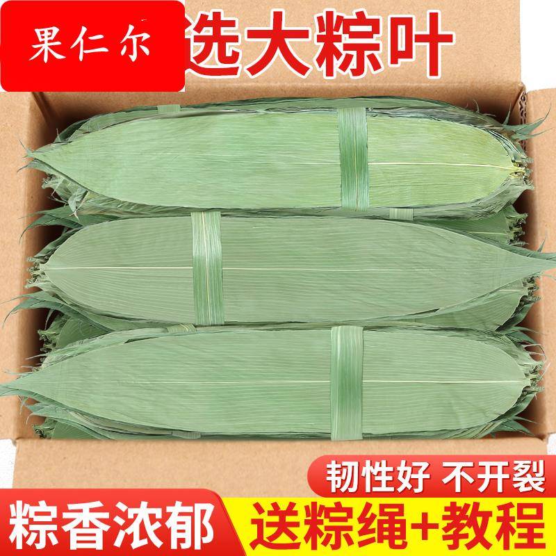 粽子叶粽叶干大号棕叶新鲜包粽子的竹叶子干粽叶商用箬叶材料