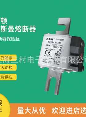 全新原装快速熔断器保险丝170M2817 170M2818 170M2819 170M2820