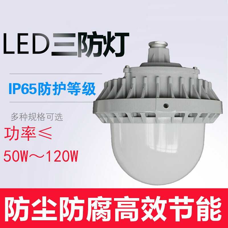SZSW7135-30 LED工作灯SZSW7135-50F LED应急工作灯SZSW7135-30Q