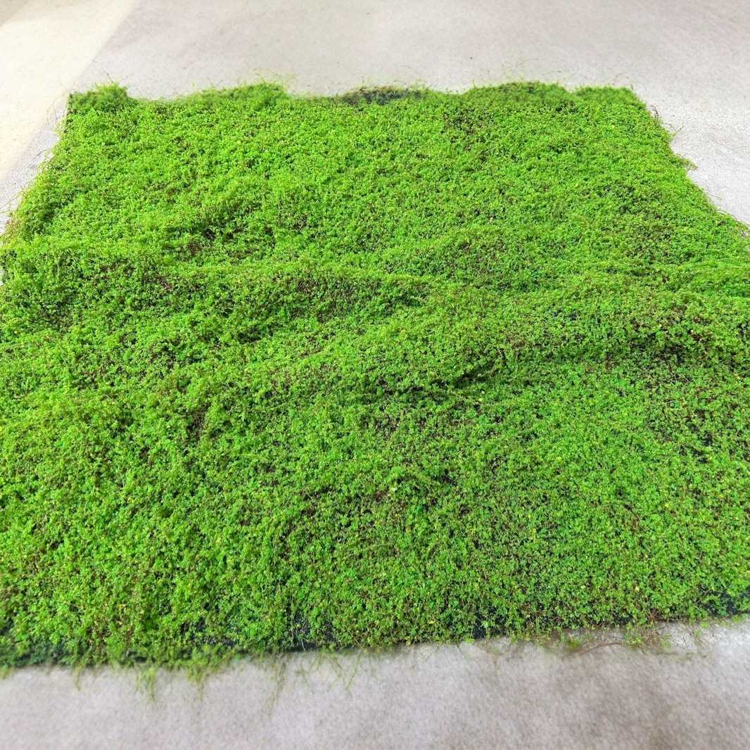 仿真植物 苔藓草坪 青苔植物墙绿植人造草坪装饰橱窗造景仿真苔藓