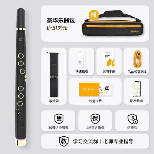 锣钹库锣钹ROBKOO 小小笛新品电笛子萨克斯电吹管 黑金