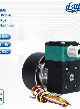 液体隔膜泵DS600 DCB-A微型液体隔膜泵废液采样真空泵12V/24V