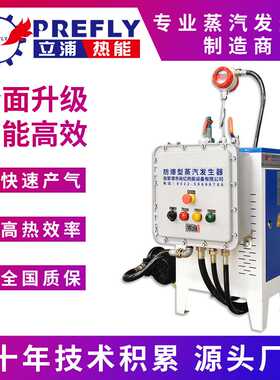 立浦热能3-12kw电蒸汽发生器实验研究防爆型油田矿上 BT4 BT5 CT4