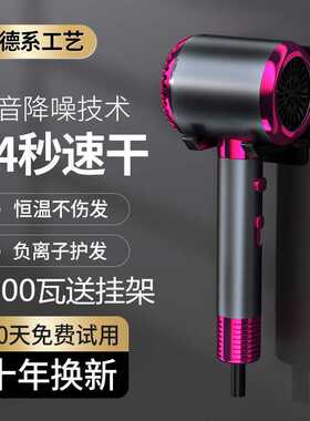 Y德国电吹风机家用负离子护发大风力发廊大功率理发店冷热风筒L