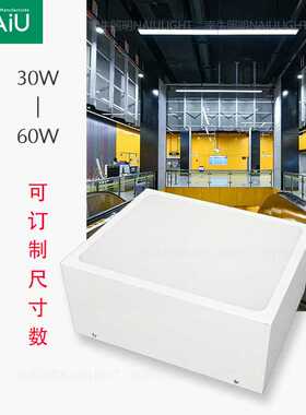 铝方通卡槽灯 30w40w50w60wled方形明装筒灯 异性吊灯  可指定尺