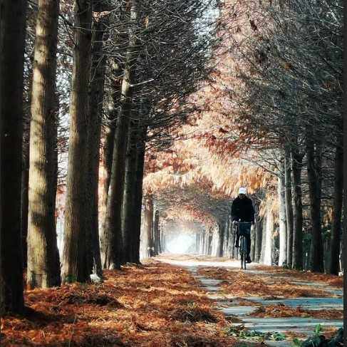 自定义抽象油画在画布上现代油画手绘大型墙壁艺术为家居装饰