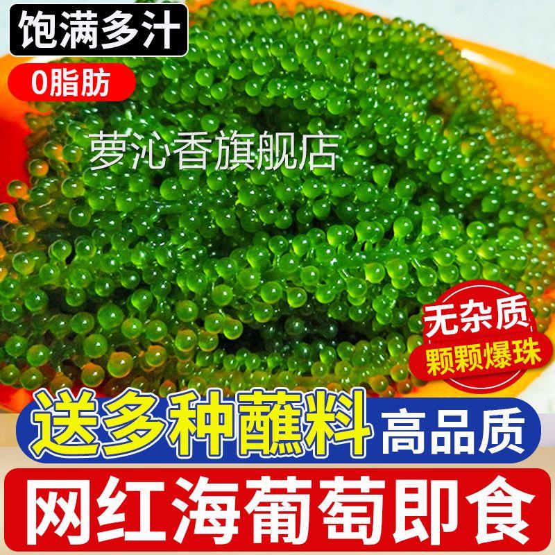 小孩吃儿童海葡萄官方旗舰店绿色鱼子酱即食的新鲜盐渍健康爆珠