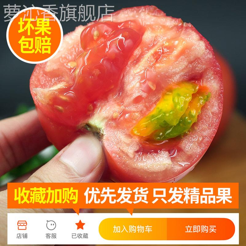 正宗普罗旺斯沙瓤西红柿5-9斤装自然熟山东非铁皮柿子水果大番茄