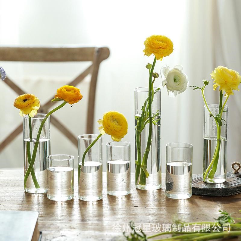 情绪稳定花瓶试管花瓶透明客厅直筒轻奢玻璃高级感水培Z摆件花绿