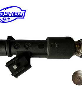 适用于夏利 威姿 GAZ汽车燃油喷油器喷油嘴28316657/4216-1132010