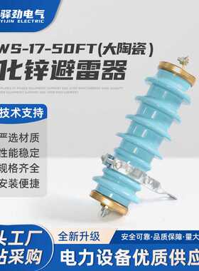 Y5WS-17/50FT(大陶瓷）陶瓷氧化锌避雷器10KV高压防雷器 户外蓝色