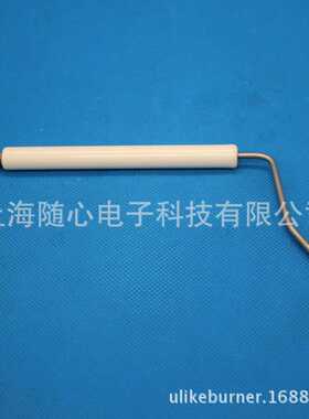 BG600用离子探针/火焰探测棒Bentone/百通燃烧器配件【瑞典原装】