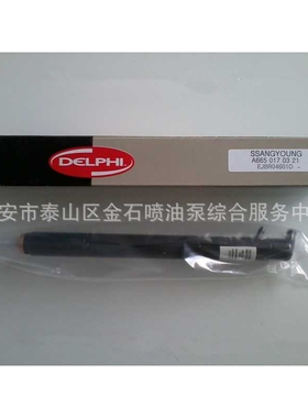 Sangyong D27DT 双龙 A6650170121 原装德尔福喷油器 EJBR02601Z
