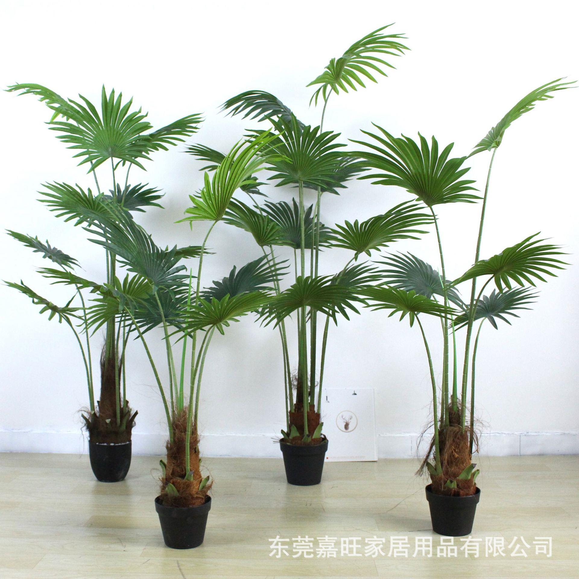 北欧风仿真植物盆栽蒲葵假绿植圆扇葵盆景室内外落地装饰唐棕葵