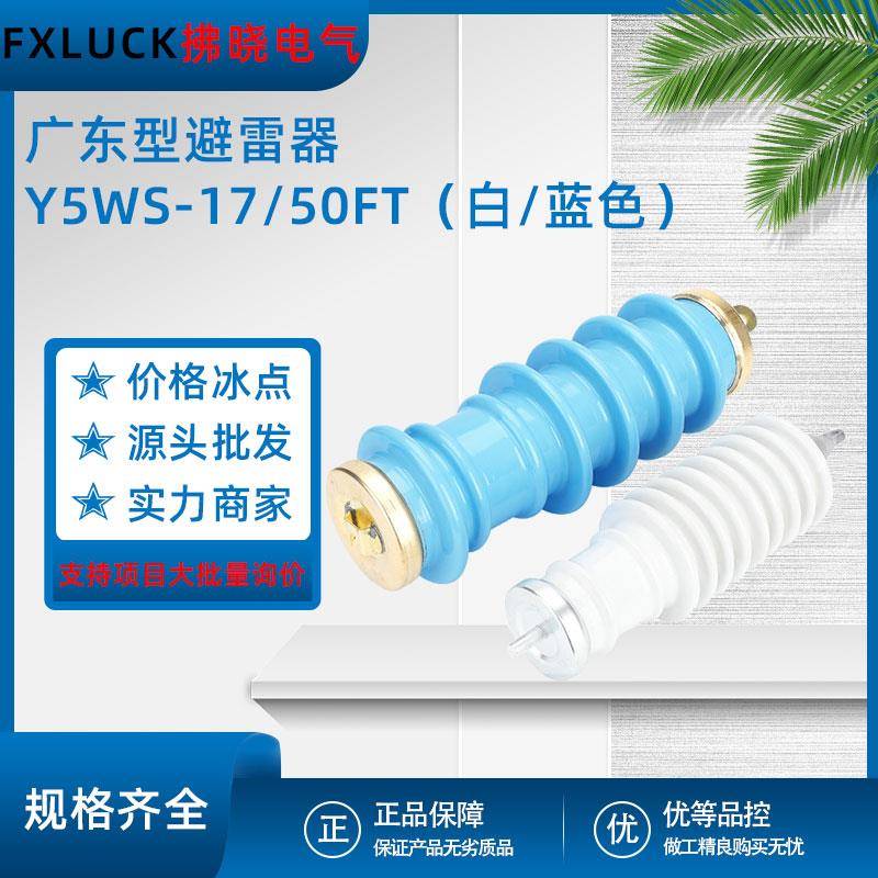 Y5WS-17/50FT广东型避雷器阀式陶瓷白色蓝色防爆线路高压10KV户外